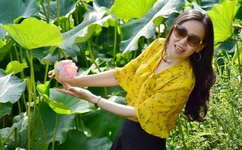 日本在线播放一区